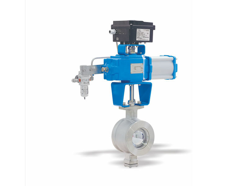 Wafer segment  ball valve